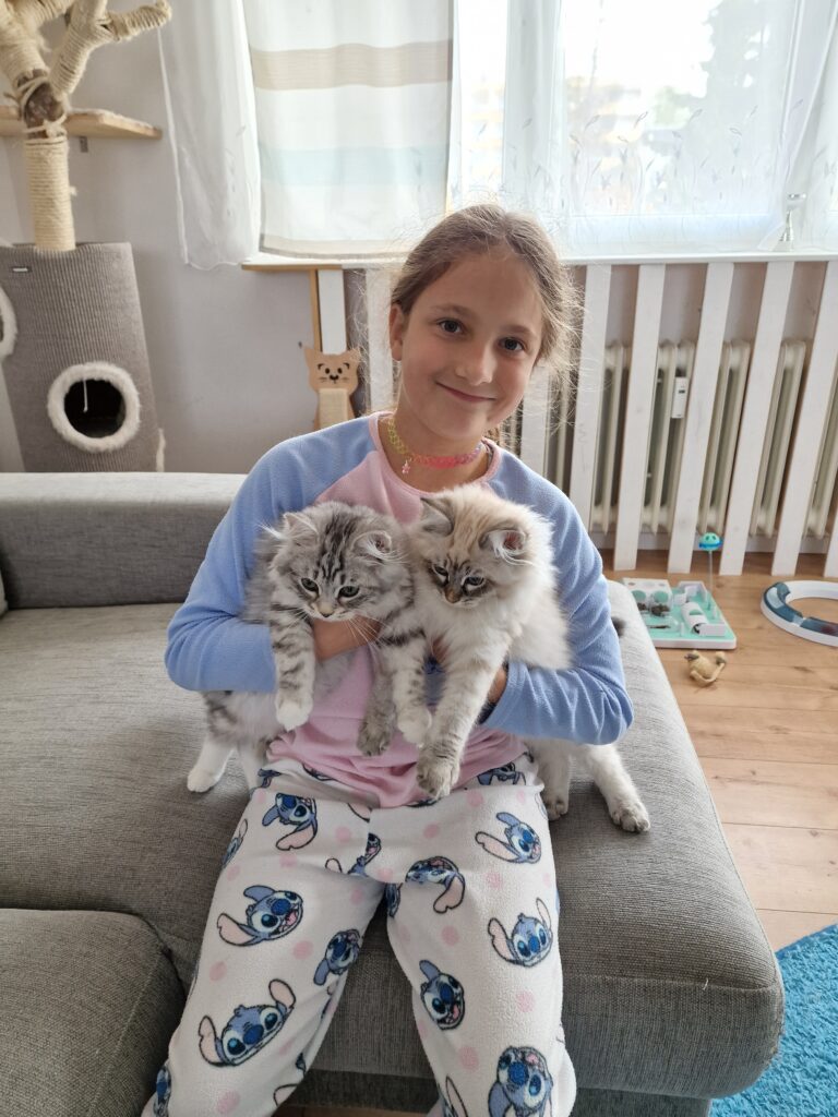 Kind hält zwei Kitten in den Händen und lächelt glücklich