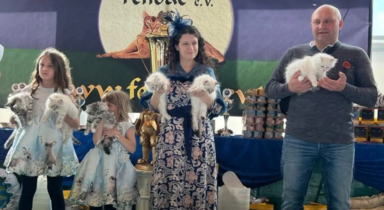 Katzenzucht Siberian Jewellers erhält den Best in Show Preis auf der Katzenausstellung Animal 2025 in Stuttgart